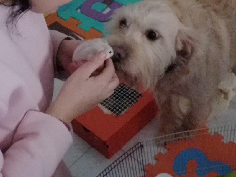 Groove of Persia (Arabic&nbsp;Trance)